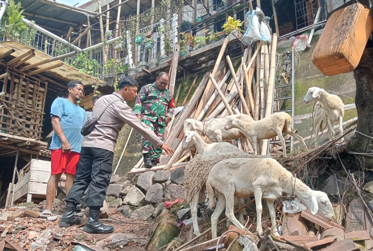 Peran Babinsa Joyotakan & Bhabinkamtibmas Bantu Cegah PMK